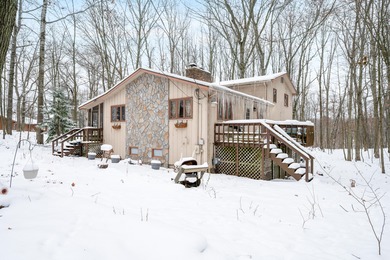 Lake of The Clouds Home For Sale in Canadian Lakes Michigan