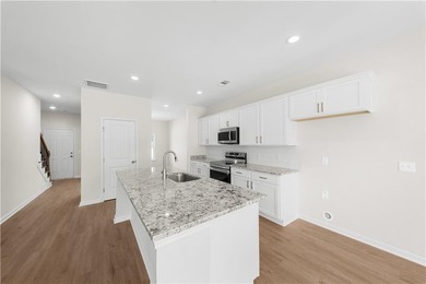 The Birch plan by Smith Family Homes is under construction in - photo 6