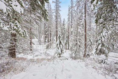 Set on 1.49 acres in The Ranch Subdivision, this property offers - photo 8