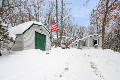 Lake Home For Sale in Reed City, Michigan