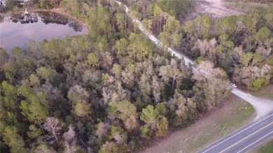 Lake Lot Off Market in Silver Springs, Florida