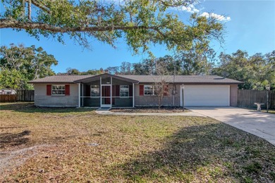 (private lake, pond, coastal) Home Sale Pending in New Port Richey Florida