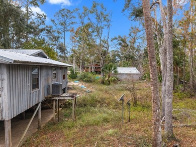 Discover the charm of Steinhatchee living with this unique - photo 19