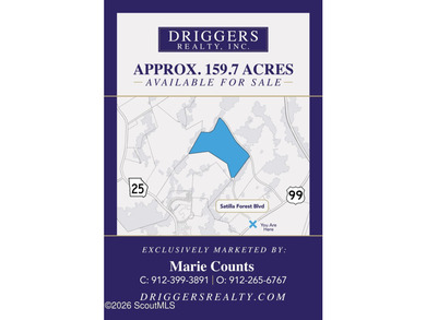 Check out this 159.7 acre parcel located in Glynn County! The PD - photo 1