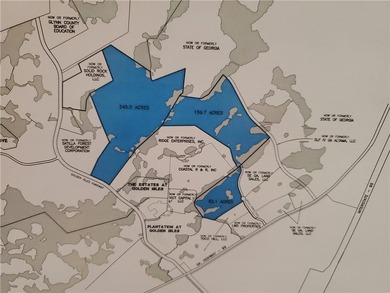 Check out this 159.7 acre parcel located in Glynn County! The PD - photo 2