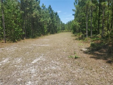 Check out this 159.7 acre parcel located in Glynn County! The PD - photo 3
