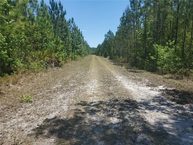 Check out this 159.7 acre parcel located in Glynn County! The PD - photo 4