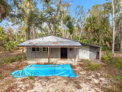 Discover the charm of Steinhatchee living with this unique - photo 25