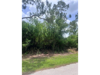 Lehigh Acres Area Lot For Sale in Fort Myers Florida