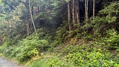 Rare opportunity to own this undeveloped 7.57 private acres up - photo 1