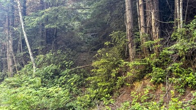 Rare opportunity to own this undeveloped 7.57 private acres up - photo 3