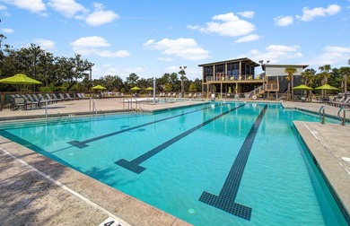 Overlooking the picturesque Frissel Park and The Wando River - photo 48