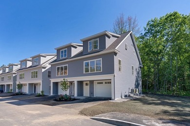Creekside Crossing offers brand-new, spacious townhomes that - photo 1
