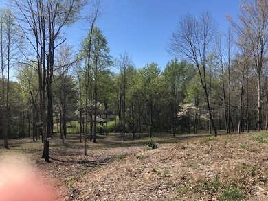 Fabulous Piney Knob Subdivision. Beautifully maintained 1.06 - photo 1