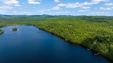 Water View Property with Deeded Access to Ironbound Pond - 2.1 - photo 15