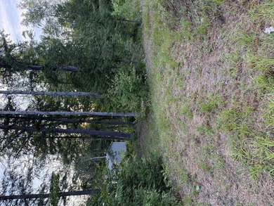 Water View Property with Deeded Access to Ironbound Pond - 2.1 - photo 25