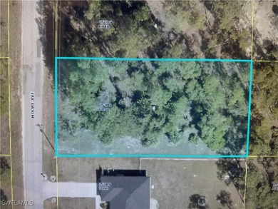 Lehigh Acres Area Lot For Sale in Lehigh Acres Florida