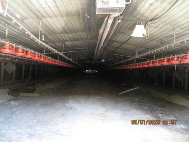 This is a quiet secluded location in the heart of Hickman County - photo 33