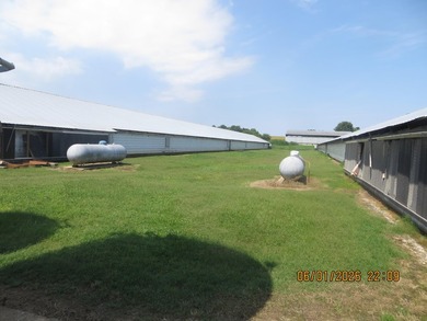 This is a quiet secluded location in the heart of Hickman County - photo 36