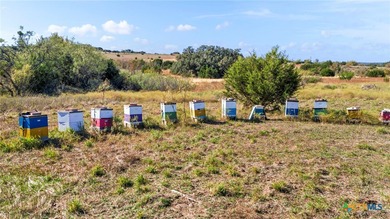 (private lake, pond, creek) Acreage For Sale in Goldthwaite Texas