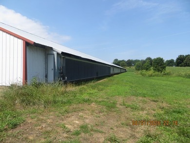 This is a quiet secluded location in the heart of Hickman County - photo 48