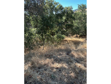 Clear Lake Lot For Sale in Lucerne California