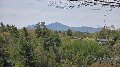 Charming Blowing Rock Cottage on the Prestigious Blowing Rock - photo 9