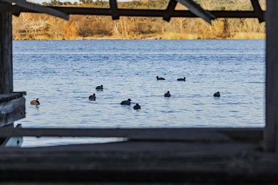 This is a rare opportunity to own 107 feet of open waterfront on - photo 22