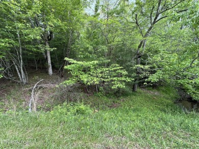 Lake Lot For Sale in Fairfield Glade, Tennessee