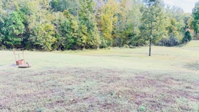 REDUCED! A short-term rental dream! Call Josh! - photo 7