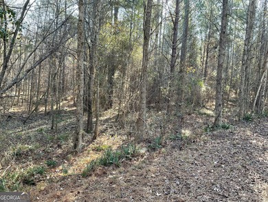 Jackson Lake Acreage For Sale in Monticello Georgia