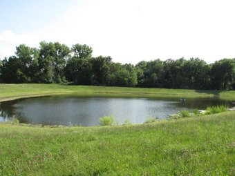 (private lake) Acreage For Sale in Amboy Illinois