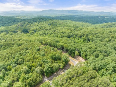 Chimney Lake  Lot For Sale in Cleveland Georgia
