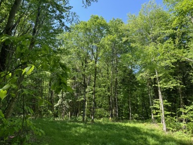 (private lake, pond, creek) Lot For Sale in Lewis New York