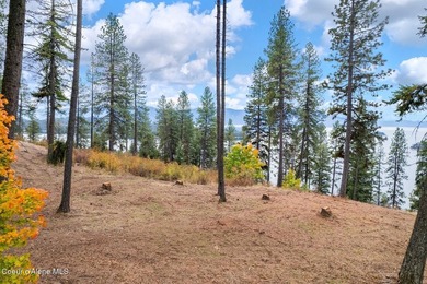 An exclusive estate property with panoramic lake views! This - photo 1