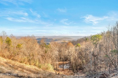 Located on top of a mountain in LaFollette, TN in close - photo 21