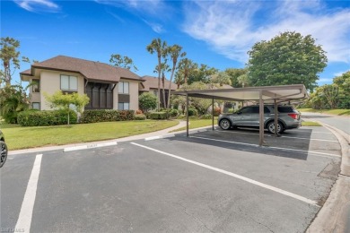 Lake Condo For Sale in Naples, Florida