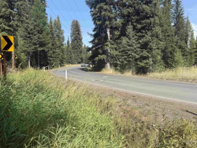 Lake Lot For Sale in Donnelly, Idaho