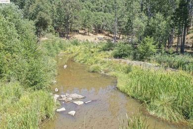 Tucked away on a peaceful cul-de-sac in the beautiful gated - photo 43