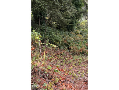 Coastal Building Opportunity with recent survey completed - photo 5