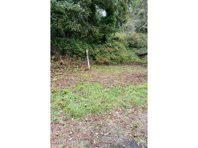 Coastal Building Opportunity with recent survey completed - photo 6