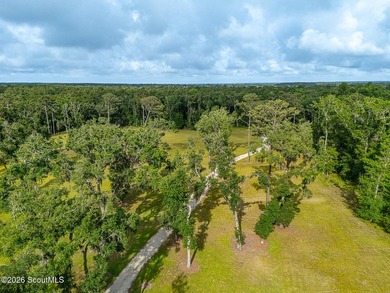 24 Carriage Drive | 8.51 Acres | Jones Creek | Dock, Lift & - photo 1