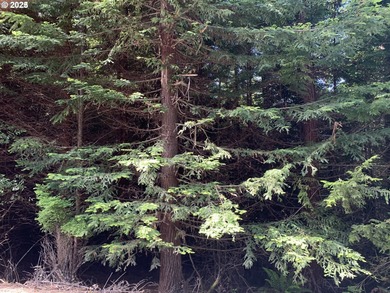 (private lake, pond, creek) Acreage For Sale in Coquille Oregon