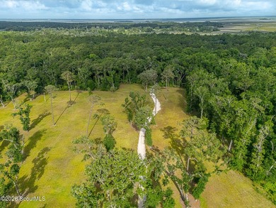 24 Carriage Drive | 8.51 Acres | Jones Creek | Dock, Lift & - photo 2