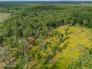 24 Carriage Drive | 8.51 Acres | Jones Creek | Dock, Lift & - photo 3