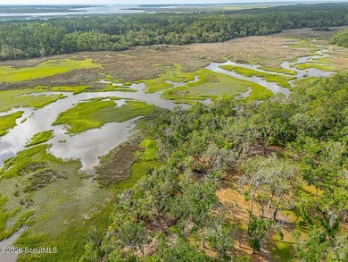 24 Carriage Drive | 8.51 Acres | Jones Creek | Dock, Lift & - photo 4