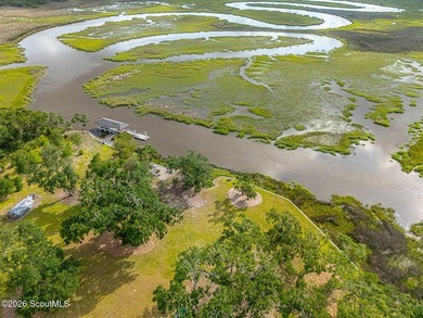 24 Carriage Drive | 8.51 Acres | Jones Creek | Dock, Lift & - photo 5