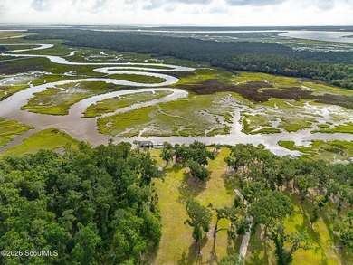 24 Carriage Drive | 8.51 Acres | Jones Creek | Dock, Lift & - photo 6