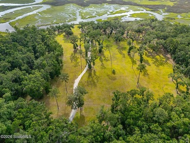 24 Carriage Drive | 8.51 Acres | Jones Creek | Dock, Lift & - photo 7