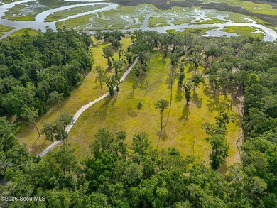24 Carriage Drive | 8.51 Acres | Jones Creek | Dock, Lift & - photo 8